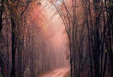 葡萄牙杯冠军意味着什么?