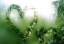 2022年世界杯比分将是怎样？